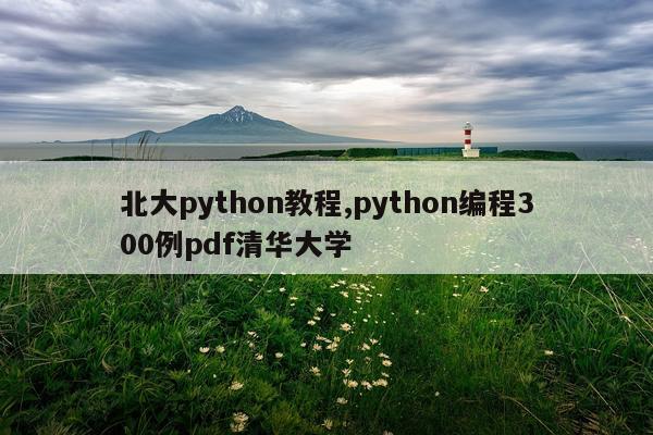 北大python教程,python编程300例pdf清华大学