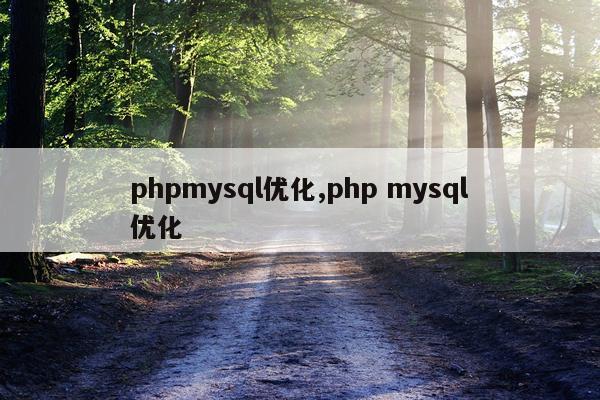 phpmysql优化,php mysql优化