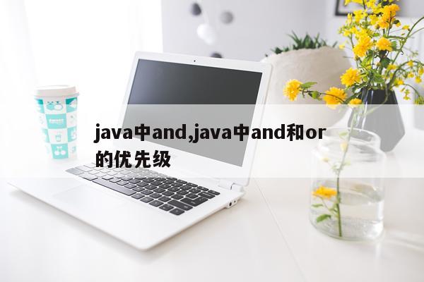 java中and,java中and和or的优先级