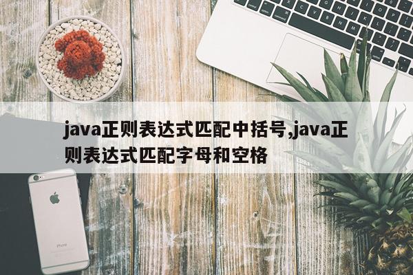 java正则表达式匹配中括号,java正则表达式匹配字母和空格