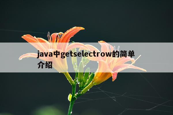 java中getselectrow的简单介绍