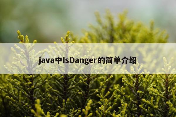 java中IsDanger的简单介绍
