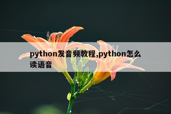 python发音频教程,python怎么读语音