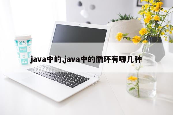 java中的,java中的循环有哪几种
