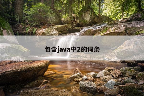 包含java中2的词条