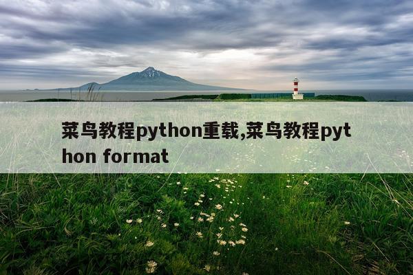菜鸟教程python重载,菜鸟教程python format