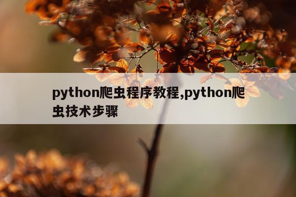 python爬虫程序教程,python爬虫技术步骤