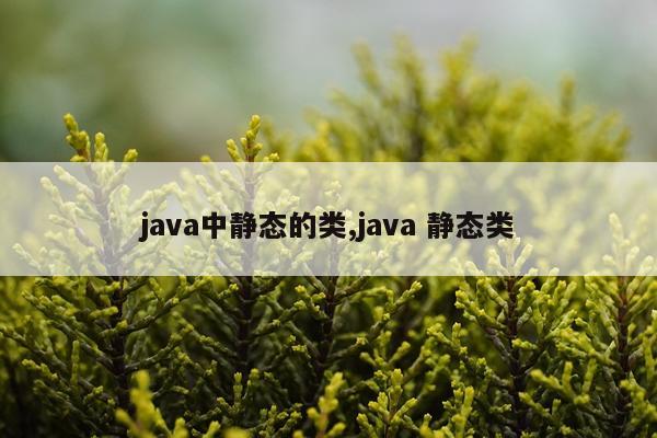 java中静态的类,java 静态类