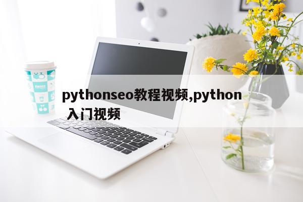 pythonseo教程视频,python 入门视频