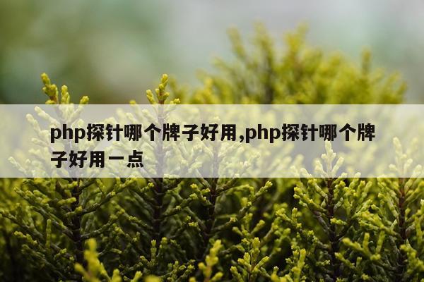 php探针哪个牌子好用,php探针哪个牌子好用一点