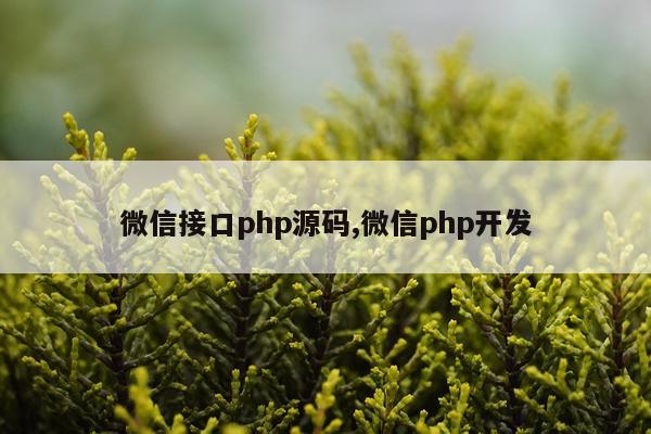 微信接口php源码,微信php开发