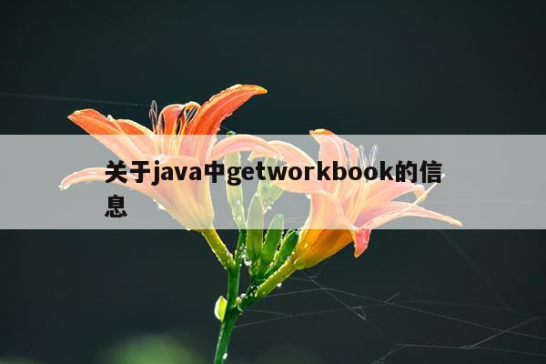 关于java中getworkbook的信息