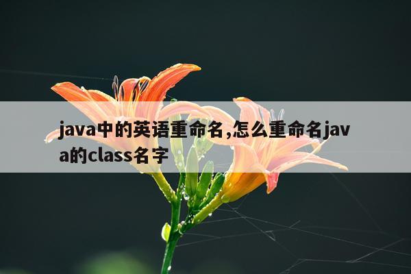 java中的英语重命名,怎么重命名java的class名字