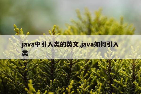 java中引入类的英文,java如何引入类