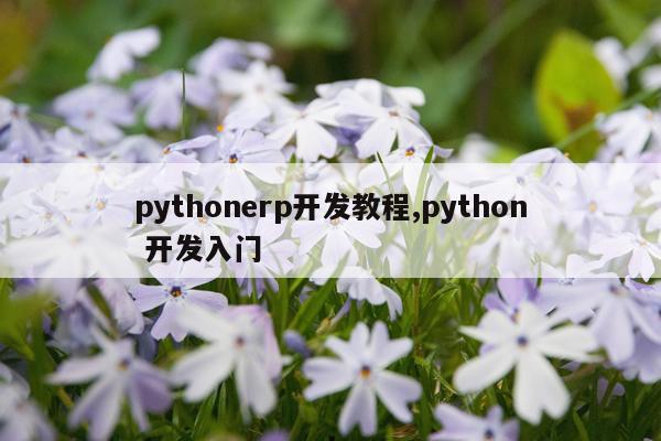 pythonerp开发教程,python 开发入门