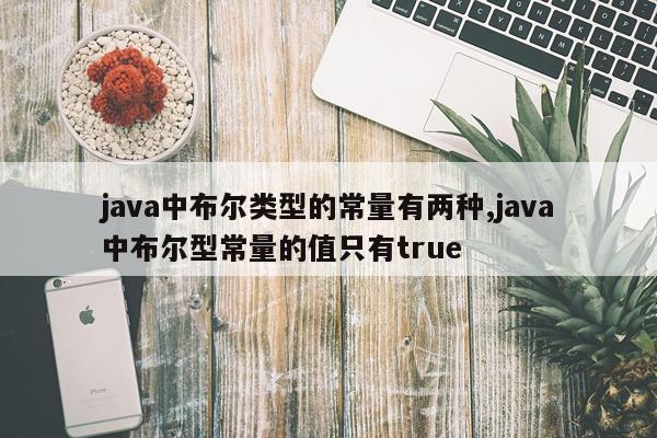 java中布尔类型的常量有两种,java中布尔型常量的值只有true