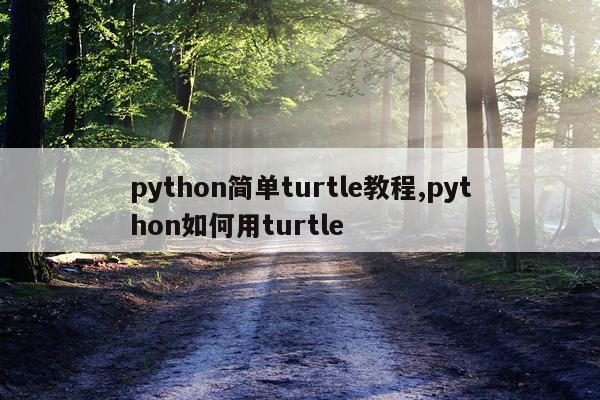 python简单turtle教程,python如何用turtle