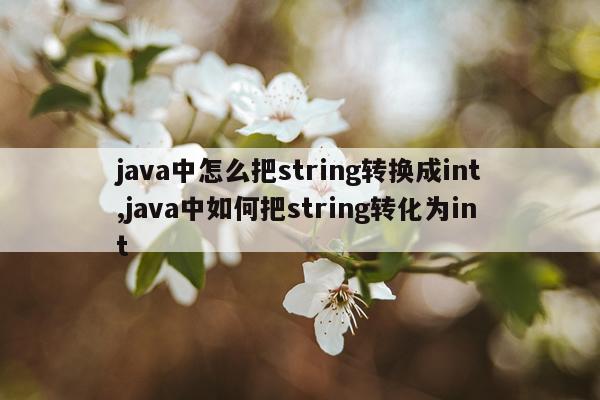java中怎么把string转换成int,java中如何把string转化为int
