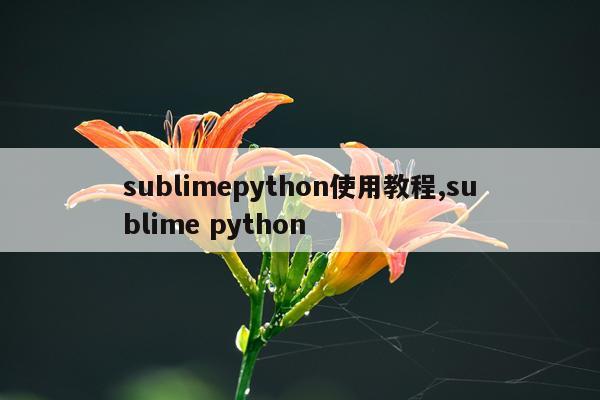 sublimepython使用教程,sublime python