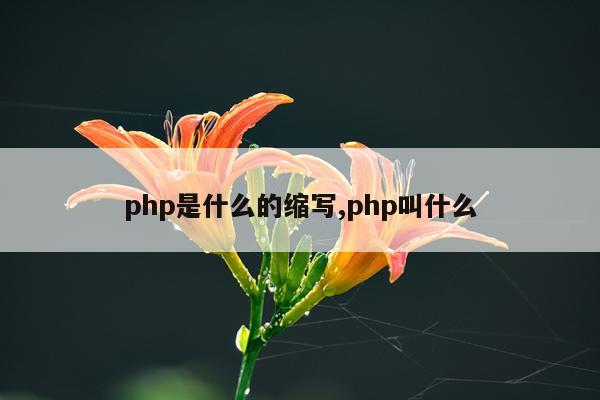 php是什么的缩写,php叫什么