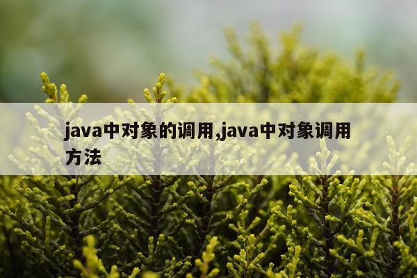 java中对象的调用,java中对象调用方法