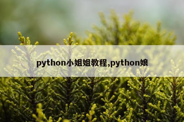 python小姐姐教程,python娘