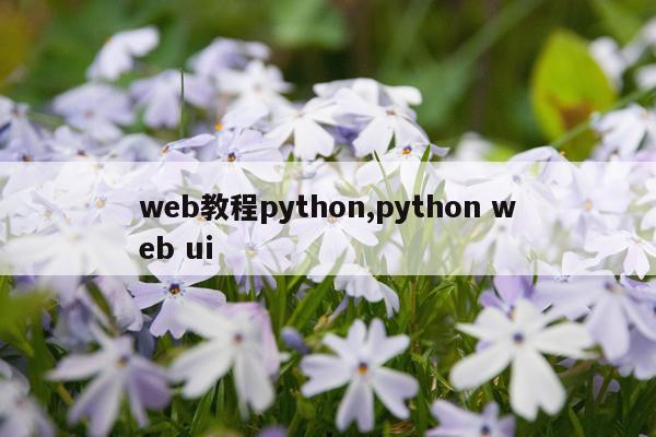 web教程python,python web ui