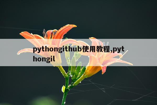pythongithub使用教程,pythongil