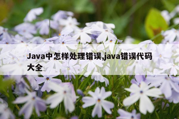 Java中怎样处理错误,java错误代码大全
