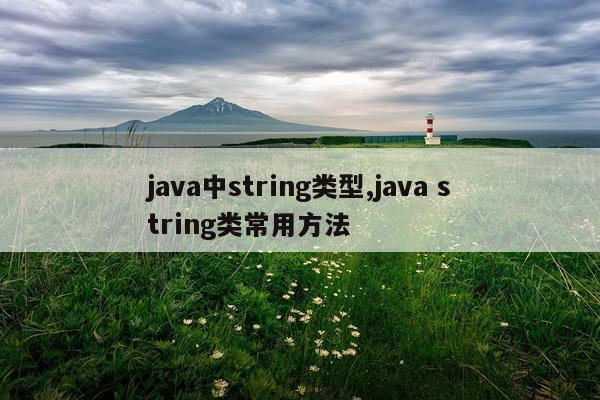 java中string类型,java string类常用方法