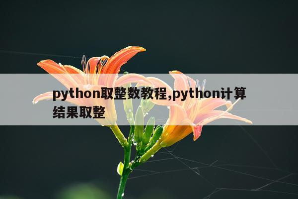 python取整数教程,python计算结果取整