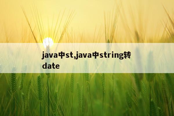 java中st,java中string转date