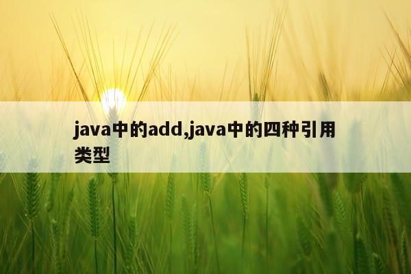 java中的add,java中的四种引用类型
