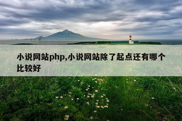 小说网站php,小说网站除了起点还有哪个比较好