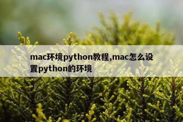 mac环境python教程,mac怎么设置python的环境