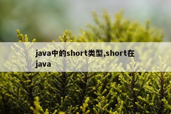 java中的short类型,short在java