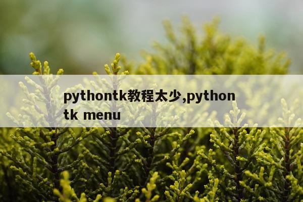 pythontk教程太少,python tk menu