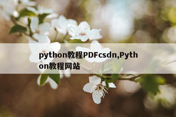 python教程PDFcsdn,Python教程网站