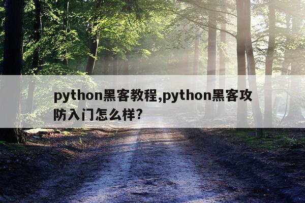 python黑客教程,python黑客攻防入门怎么样?