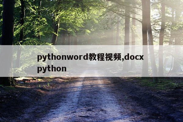 pythonword教程视频,docx python