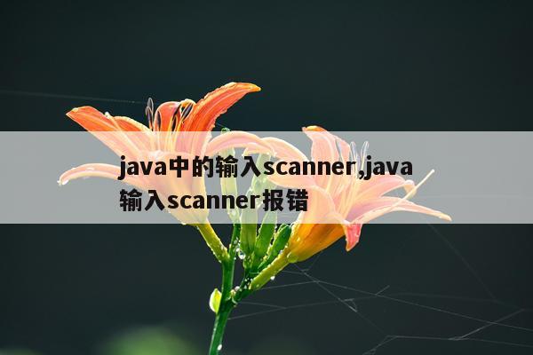 java中的输入scanner,java输入scanner报错