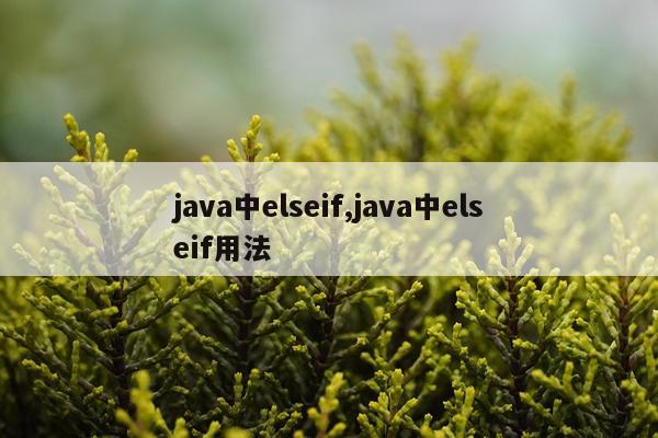 java中elseif,java中elseif用法