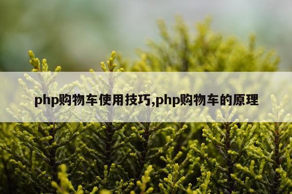 php购物车使用技巧,php购物车的原理