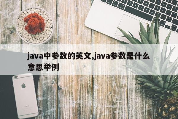 java中参数的英文,java参数是什么意思举例