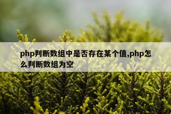 php判断数组中是否存在某个值,php怎么判断数组为空