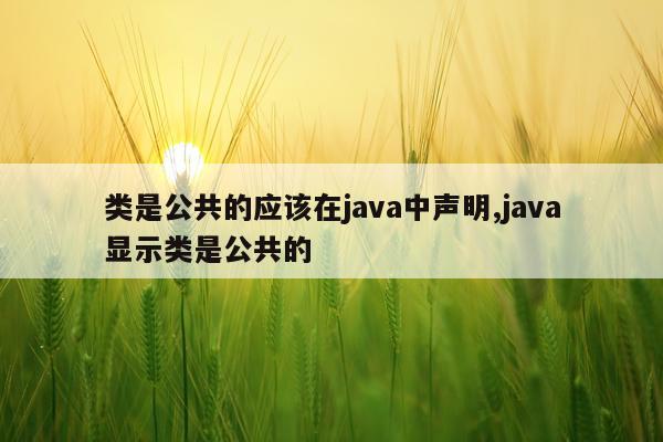 类是公共的应该在java中声明,java显示类是公共的