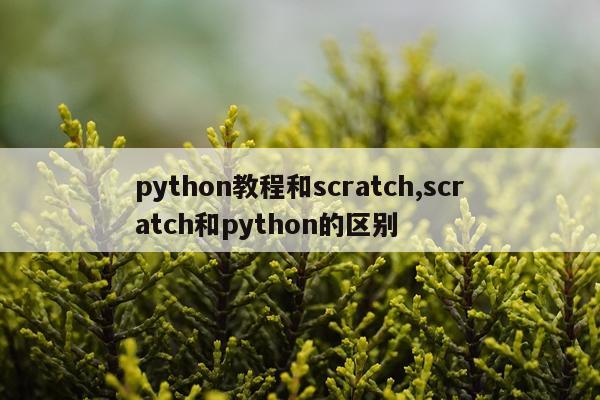 python教程和scratch,scratch和python的区别