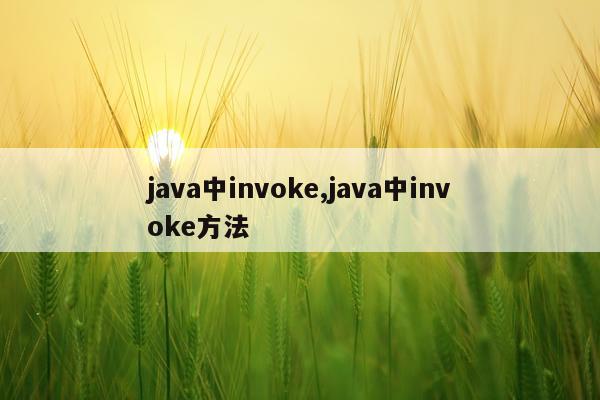 java中invoke,java中invoke方法