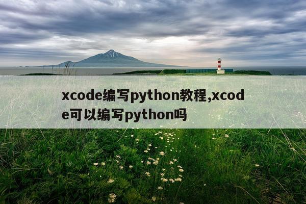 xcode编写python教程,xcode可以编写python吗