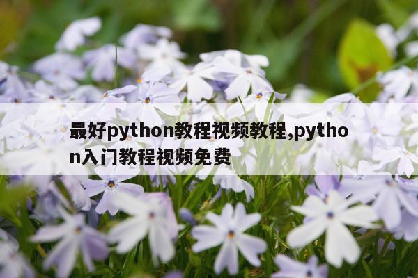 最好python教程视频教程,python入门教程视频免费